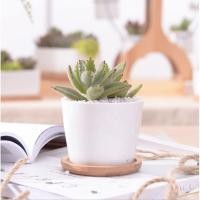 ราคา Porcelain pot 3.5" : Round กระถางเซรามิกทรงกลม ขนาด 3.5 นิ้ว พร้อมจานรอง (12901856)