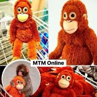 ราคา พร้อมส่ง パンチくん ตุ๊กตาลิงขนาดใหญ่ 66 เซน มัมหมีพันช์คุง ห้อยหลังได้ Punchi-kun ตุ๊กตาแม่ลิง ตุ๊กตาลิง monkey (24097986447)