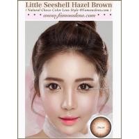 ราคา คอนแทคเลนส์ mini seashell brown (137995167)