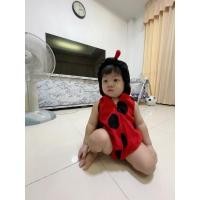 ราคา ชุดแฟนซีเด็กผึ้งน้อย (18679767432)