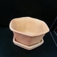 ราคา กระถางแคคตัส (ดินเผา) (1080097333)