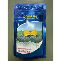 ราคา ฟักทองทองอำไพ426 (1,000เมล็ด) (41327904663)