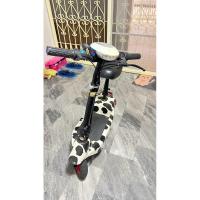 ราคา สกูตเตอร์ไฟฟ้า (มือ 2) Electric Scooter 24V ไฟหน้า LED E-Scooter (40150627293)