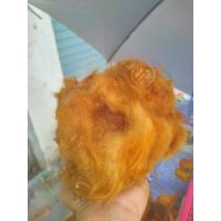 ราคา ว่านลูกไก่ทอง ว่านศักดิ์สิทธิ์ ว่านเรียกทรัพย์ ว่านมงคล ว่านแห่งโชคลาภ กลาง (19561173489)