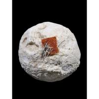 ราคา ลูกอมหลวงปู่ดู่ วัดสะแก เกศา จีวร (27583355925)