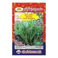 ราคา ผักกาดเขียว เขียวน้อย MT/OP-005 Leaf Mustard ตราภูเขาทอง เมล็ดพันธุ์ผักกาด เมล็ดผักกาดเขียวน้อย (19784519861)