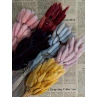 ราคา ดอกไม้อบแห้ง "หญ้าหางกระต่าย" (41418018952)