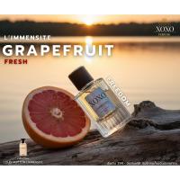 ราคา (พร้อมจัดส่ง) น้ำหอมแบรนด์ XOXO กลิ่น L'IMMENSITE น้ำหอมสำหรับผู้ชาย 30ML-50ML (46201310236)