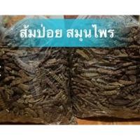 ราคา ส้มป่อยเดือน5 (ใหม่) คัดพิเศษ ส้มป่อย สมุนไพรมงคล (7737541107)