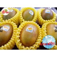 ราคา Guava top1กีวี่ทอง KIWI Zespri SunGold (21ลูก) (NewZealand) ~ลดพิเศษ~ Premium ผลไม้สด นำเข้า กีวีสด กีวี่สด กีวีสีทอง (15465086597)