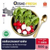 ราคา Oishi-Freshแรดิช ปลอดสารพิษ 1 กก. รสชาติกรอบ สด ใหม่ ใยอาหารสูง หวานออร์แกนิค เคลมได้ 1-2 วัน (27167183965)