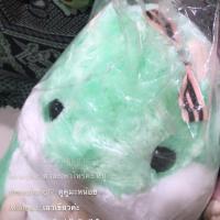 ราคา หนูอมูสสีเขียว + สีน้ำตาล (7120194180)