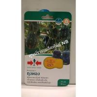 ราคา [20แถม1] เมล็ดฟักทอง ฟักทองลูกผสม F1 ถุงทอง เมล็ดพันธุ์ ศรแดง เมล็ดพันธุ์ผัก (5615284634)