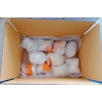 ราคา ไข่เชื้อ ห่านขาวจีน ห่านเทาจีน สำหรับนำเข้าตู้ฟัก (9918449354)