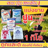 ราคา ปูนแบ่งขาย 1 กิโลกรัม ปูนโดโลไมท์ ปูนแคลเซียม ปูนมาร์ล ปูนขาว ปูนหอย (25745238339)