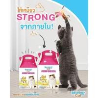 ราคา BEARING Cat Multi Vitamin for Cat วิตามินรวมสำหรับแมว วิตามินแมว อาหารเสริมแมว บำรุงสุขภาพบำรุงสายตา เสริมภูมิคุ้มกันแมว (19333885396)