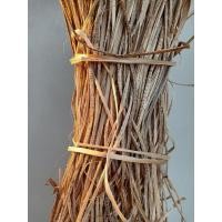 ราคา เชือกมัดจ๊อ เชือกกล้วย มัดหอยจ๊อ เชือกกล้วยใช้สำหรับมัด เส้นเล็กๆมัดข้าวต้ม มัดหอยจ๊อ ขายเป็นมัดๆค่ะ (22578008563)