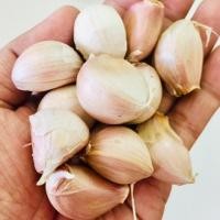 ราคา กระเทียมจีนแกะกลีบ กลีบใหญ่ กิโลละ 90 บาท (6835258307)