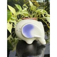 ราคา กระปุกออมสิน กระปุกออมสินช้าง ที่ระลึก100ปี ธนาคารไทยพาณิชย์ Scb (50606505558)