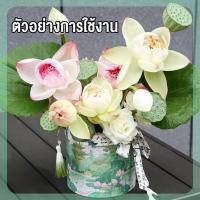 ราคา FSB0014 ถังใส่ดอกไม้ ทรงกลม ถังใส่ดอกไม้ในครัวเรือนที่ทนทาน ถังกระดาษขนาดใหญ่ ถังใส่ดอกไม้ร้านดอกไม้ (26838610622)