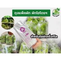 ราคา ถุงใส่ผัก ถุงแพ็คผัก ถุงใสใส่ผักไฮโดร ถุงใส่ผักขาย ถุงใส ขนาด 12*18 นิ้ว (43507029349)