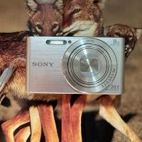 ราคา กล้องดิจิตอล Sony Cybershot DSC-W830 (28800497698)