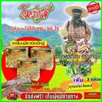 ราคา ส่งฟรี โมซ่าส์ MOZA ปุ๋ยโมซ่าส์ ( 3 กล่อง ) โมซ่า ปุ๋ยฮอร์โมน กรดอะมิโนสูง สำหรับพืชไร่ พืชสวน ข้าว บำรุงใบ บำรุงรา (9586925967)