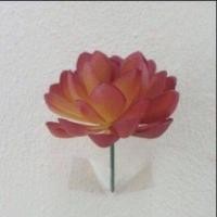 ราคา กุหลาบหิน พลาสติก กระบองเพชรปลอม เหมือนจริง (3632749072)