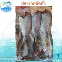 ราคา (คละน้ำหนัก) ปลาจวดตัดหัว 1แพ็ค ปลาจวด ปลาจวดแห้ง ปลาจวดเค็ม ปลาจวดตากแห้ง ปลาเค็ม ปลาตากแห้ง (24522077512)