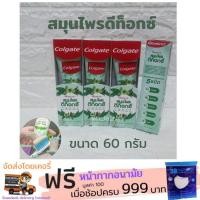 ราคา Colgate ยาสีฟันคอลเกต ปัญจเวท สมุนไพร ดีท็อกซ์ 60กรัม (4278702968)