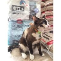 ราคา แบ่งขายneeez+รสทูน่าแซลม่อน 5 กิโลค่าส่ง 65 บาท ถุงฟรอย926 พื้นที่ห่างไกลเพิ่ม 50 (21209475852)