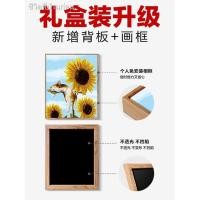 ราคา ภาพวาด DIY ภาพวาดสีน้ำมันภาพวาดมือวาดเติมสีห้องนั่งเล่นภูมิทัศน์การบีบอัดภาพวาดสีน้ำมันดิจิตอลตกแต่งดอกทิวลิป (23165740212)