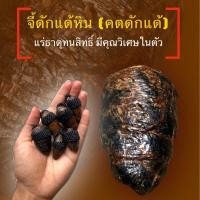 ราคา จี้ดักแด้หิน(คตดักแด้)แร่ธาตุทนสิทธิ์:เครื่องรางของขลังพร้อมงานถักเชือกเทียน (26656031225)
