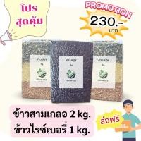 ราคา ข้าวไรซ์เบอรี่ 1 กิโล + ข้าวสามเกลอ 2 กิโล ข้าวออร์แกนิค ปลอดสาร เกรดคุณภาพ ได้คุณประโยชน์ครบ100% (26617121848)