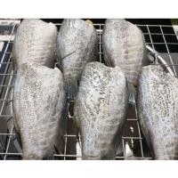 ราคา ปลาสลิดแดดเดียว ขนาด 5-7 ตัวโล สูตรเค็มน้อย 1 กิโลกรัม (40520261660)