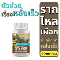 ราคา สารสกัดรากไหลเผือก สมุนไพรไทย ชนิดแคปซูล (60เม็ด) - Tongkat Ali (11899892076)