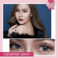 ราคา คอนแทคเลนส์ ยี่ห้อ Kitty kawaii รุ่น Mini Demeter Gray (7636492047)