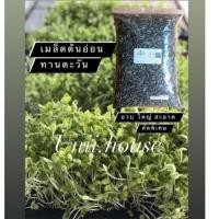 ราคา 10แถม1 50กรัม 100กรัม เมล็ดต้นอ่อนทานตะวัน(ลายคัดพิเศษ) เพาะต้นอ่อน เพาะไมโครกรีน สำหรับเพาะปลูก (4631541707)