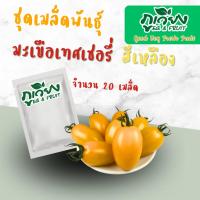ราคา มะเขือเทศทานสด เชอรี่ สีเหลือง ซอง 20 เมล็ด (28369496198)
