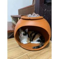 ราคา โอ่งบ้านดินเผาน้องแมว (22439955685)