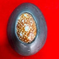 ราคา เบี้ยแก้ หลวงปู่เจือ วัดกลางบางแก้ว แบบเปลือย (26010867811)