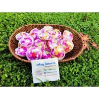 ราคา เหรียญโปรยทาน คัพเค้ก พร้อมเหรียญ 1 บาท (21385119009)