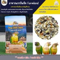 ราคา อาหารนกกรีนชีค อาหารนกธัญพืช Farmland อาหารนกเแก้วกรีนชีค ธัญพืชรวม ผสมผลไม้ อาหารนก (43754493339)