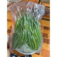 ราคา [ขนาด 300 กรัม] พริกสด พริกเขียว สดๆ จากสวน เก็บใหม่ทุกเช้า มีกลิ่นหอม พริกพันธุ์ซุปเปอร์ฮอต เผ็ดถึงใจ (48454922747)