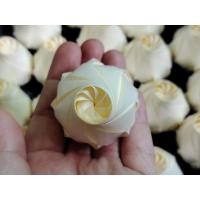 ราคา (ตัวเปล่า)100ชิ้น เหรียญโปรยทาน ดอกกุหลาบ ดอกบัวตูม (25113101543)