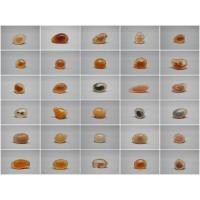 ราคา gobi agate candy gobi agate โกบีอาเกต อาเกตแบบธรรมชาติ ชุดที่2 (13498583690)