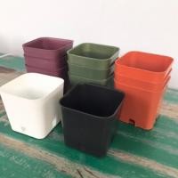 ราคา กระถางพลาสติกเหลี่ยมเล็ก ขนาด 2 นิ้ว กระถางกระบองเพชร มี 5 สี ขาว-ส้มอิฐ-ดำ-เขียว-แดงม่วง(2ใบ/5ใบ) กระถางพลาสติกเล็ก (2086494534)
