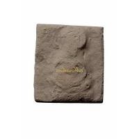 ราคา +พระแผงตัดเดี่ยวมีประภามลฑลฐานบัว กรุวัดพระธาตุนาดูน กรุเก่า เนื้อดิน มหาสารคาม 65010592 (10881526052)