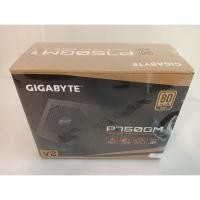 ราคา POWER SUPPLY (อุปกรณ์จ่ายไฟ) GIGABYTE P750GM - 750W 80 PLUS GOLD (BLACK) (22189966054)