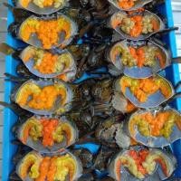 ราคา ปูดองสูตรน้ำปลากวน (1466954249)